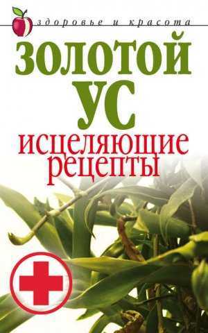 Золотой ус действенные рецепты народной медицины настойка отвары и их применение