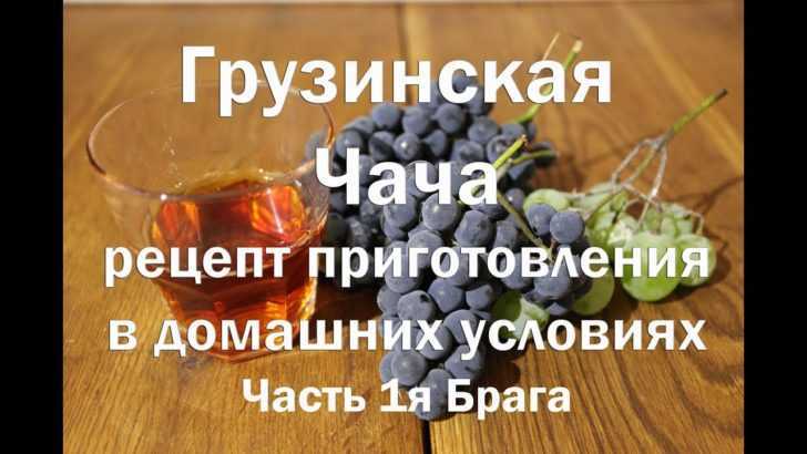 Выбор винограда