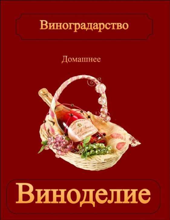 Рецепт браги на крахмале изысканный напиток для настоящих гурманов