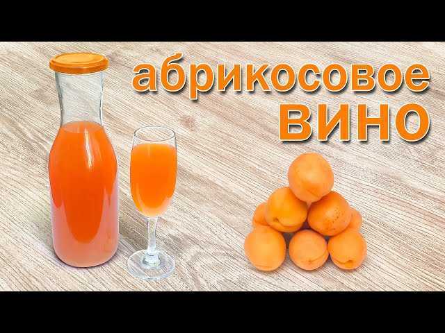 Рецепты вина из абрикосов