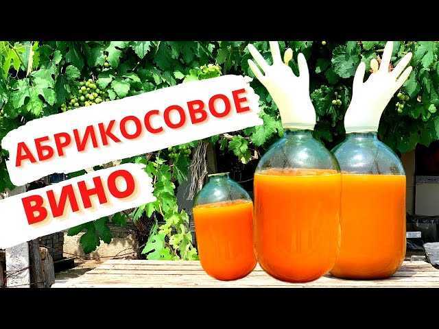 Рецепт №1: Сухое абрикосовое вино с добавлением сахара